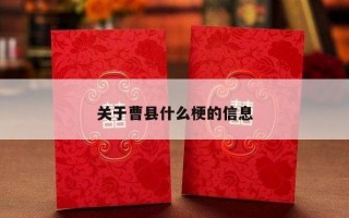 关于曹县什么梗的信息