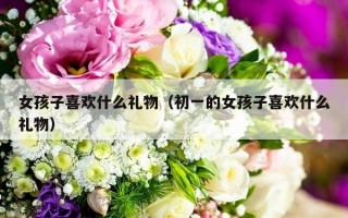 女孩子喜欢什么礼物（初一的女孩子喜欢什么礼物）