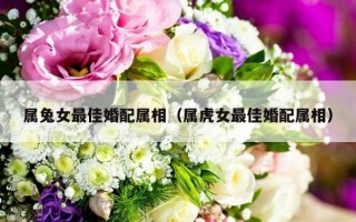 属兔女最佳婚配属相（属虎女最佳婚配属相）