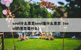 soul什么意思soul是什么意思（soul的意思是什么）