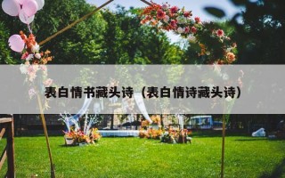 表白情书藏头诗（表白情诗藏头诗）