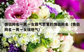 情侣网名一男一女霸气恩爱的情侣网名（情侣网名一男一女接地气）