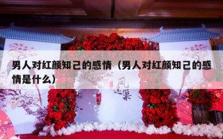 男人对红颜知己的感情（男人对红颜知己的感情是什么）