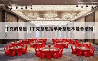 丁克的意思（丁克意思指单身意思不是合结婚）