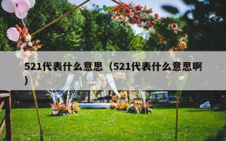 521代表什么意思（521代表什么意思啊）