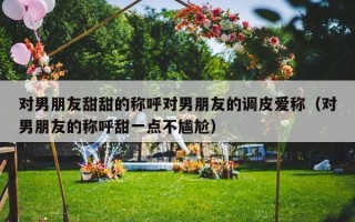 对男朋友甜甜的称呼对男朋友的调皮爱称（对男朋友的称呼甜一点不尴尬）
