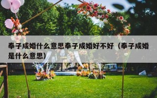 奉子成婚什么意思奉子成婚好不好（奉子成婚是什么意思）