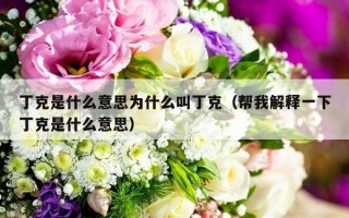 丁克是什么意思为什么叫丁克（帮我解释一下丁克是什么意思）