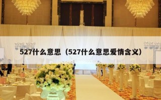 527什么意思（527什么意思爱情含义）