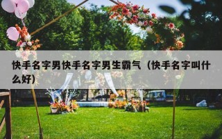 快手名字男快手名字男生霸气（快手名字叫什么好）