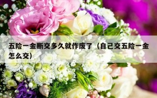 五险一金断交多久就作废了（自己交五险一金怎么交）