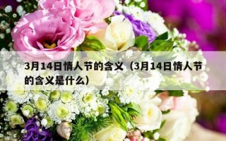 3月14日情人节的含义（3月14日情人节的含义是什么）