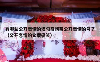 有哪些公开恋情的短句高情商公开恋情的句子（公开恋情的文案搞笑）