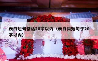 表白短句情话20字以内（表白简短句子20字以内）