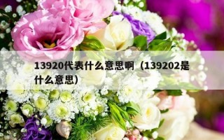 13920代表什么意思啊（139202是什么意思）
