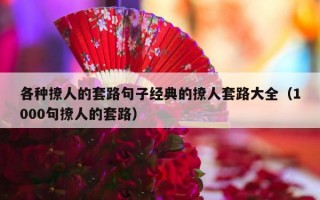 各种撩人的套路句子经典的撩人套路大全（1000句撩人的套路）