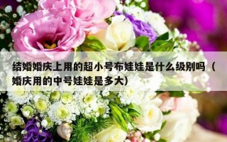 结婚婚庆上用的超小号布娃娃是什么级别吗（婚庆用的中号娃娃是多大）