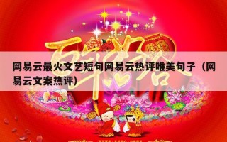网易云最火文艺短句网易云热评唯美句子（网易云文案热评）