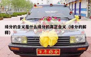 缘分的含义是什么缘分的真正含义（缘分的解释）