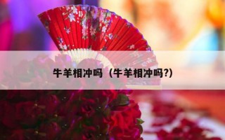 牛羊相冲吗（牛羊相冲吗?）