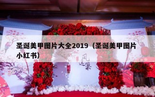 圣诞美甲图片大全2019（圣诞美甲图片 小红书）