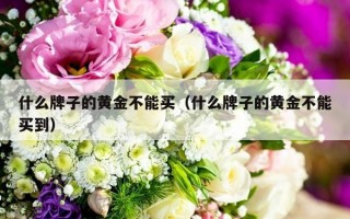 什么牌子的黄金不能买（什么牌子的黄金不能买到）