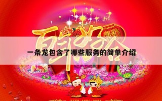 一条龙包含了哪些服务的简单介绍
