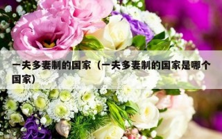 一夫多妻制的国家（一夫多妻制的国家是哪个国家）