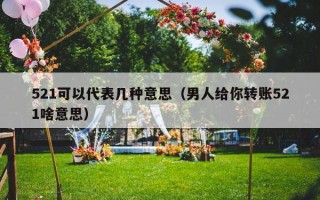 521可以代表几种意思（男人给你转账521啥意思）