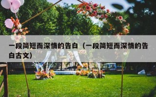 一段简短而深情的告白（一段简短而深情的告白古文）