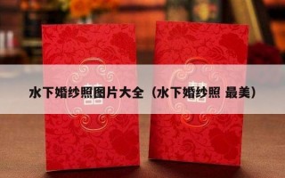 水下婚纱照图片大全（水下婚纱照 最美）