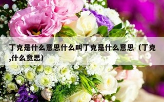 丁克是什么意思什么叫丁克是什么意思（丁克,什么意思）