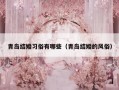 青岛结婚习俗有哪些（青岛结婚的风俗）