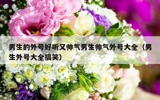 男生的外号好听又帅气男生帅气外号大全（男生外号大全搞笑）