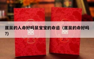 属鼠的人命好吗鼠宝宝的命运（属鼠的命好吗?）