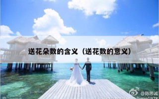 送花朵数的含义（送花数的意义）