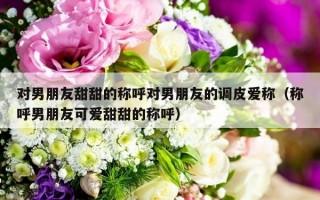 对男朋友甜甜的称呼对男朋友的调皮爱称（称呼男朋友可爱甜甜的称呼）