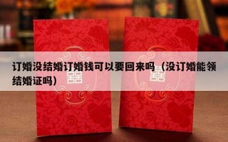 订婚没结婚订婚钱可以要回来吗（没订婚能领结婚证吗）