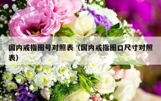 国内戒指圈号对照表（国内戒指圈口尺寸对照表）
