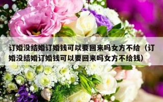 订婚没结婚订婚钱可以要回来吗女方不给（订婚没结婚订婚钱可以要回来吗女方不给钱）