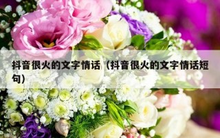 抖音很火的文字情话（抖音很火的文字情话短句）