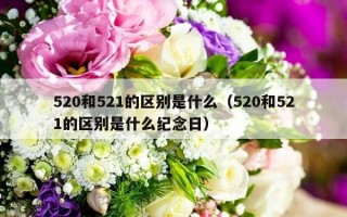 520和521的区别是什么（520和521的区别是什么纪念日）
