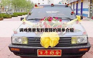调戏男朋友的套路的简单介绍
