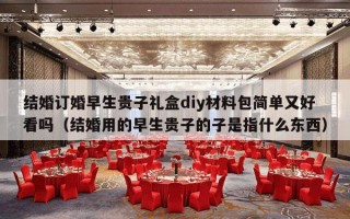结婚订婚早生贵子礼盒diy材料包简单又好看吗（结婚用的早生贵子的子是指什么东西）