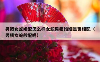男猪女蛇婚配怎么样女蛇男猪婚姻是否相配（男猪女蛇般配吗）