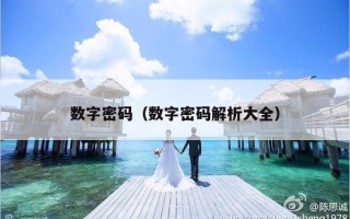 数字密码（数字密码解析大全）