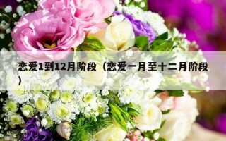 恋爱1到12月阶段（恋爱一月至十二月阶段）