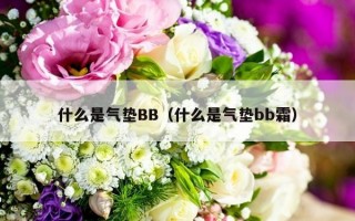 什么是气垫BB（什么是气垫bb霜）