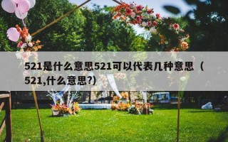 521是什么意思521可以代表几种意思（521,什么意思?）