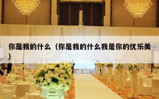 你是我的什么（你是我的什么我是你的优乐美）